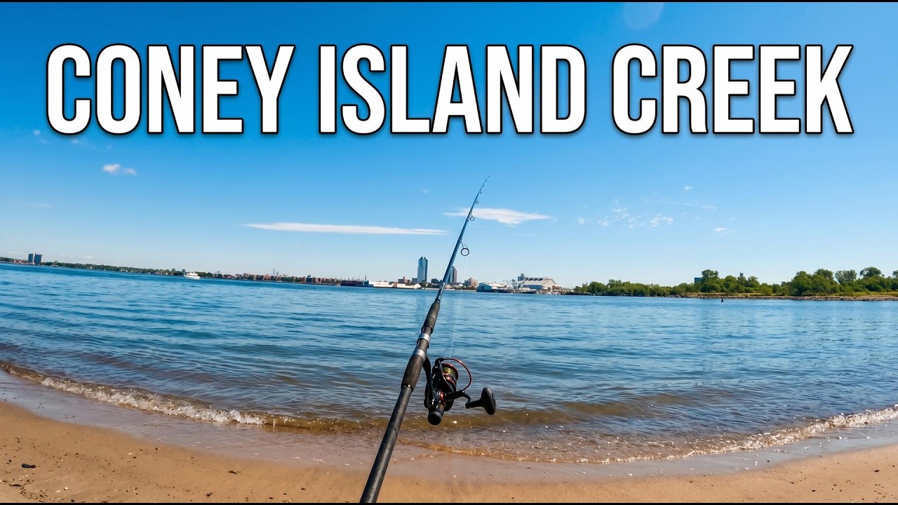 CONEY ISLAND CREEK Fishing (What's Biting?)