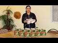 How to Store Chicken Meat Without a Refrigerator for the Winter?  Chicken stew 12 month storage