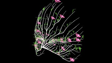 Marc6102 Assignment 2 S2 2018 H Xiang  460317869 A Jiang 460472951