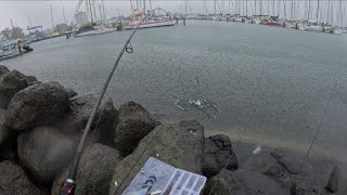 Melbourne Landbased Big Bream Fishing, Thunderstorm causes chaos!!! Ep.11