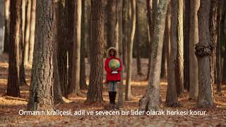 Si̇hi̇rli̇ Orman Saki̇nleri̇ Resimi