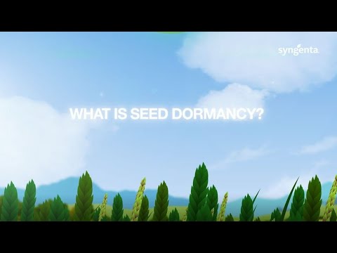 What is seed dormancy?