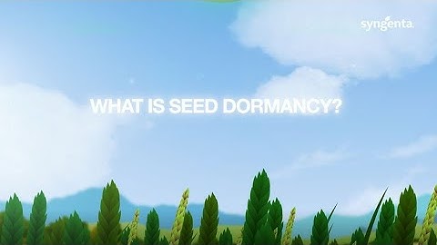 What is seed dormancy?