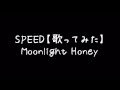 SPEED【歌ってみた】Moonlight Honey