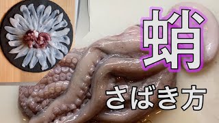 【蛸のさばき方】お家でもできる！たこ刺身、タコしゃぶの作り方