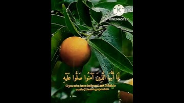 حالات واتس اب يوم الجمعه //القارئ: أسلام صبحي