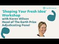 Shaping your fresh idea workshop with karen wilson chair of the earth prize adjudicating panel