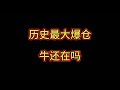 加密市场历史最大爆仓，牛市还在吗？