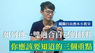 如何挑一雙適合自己的蛙鞋你應該要知道的三個重點 