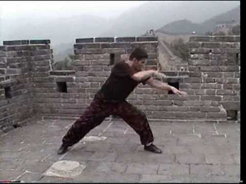 5 animals 8 methods shaolin