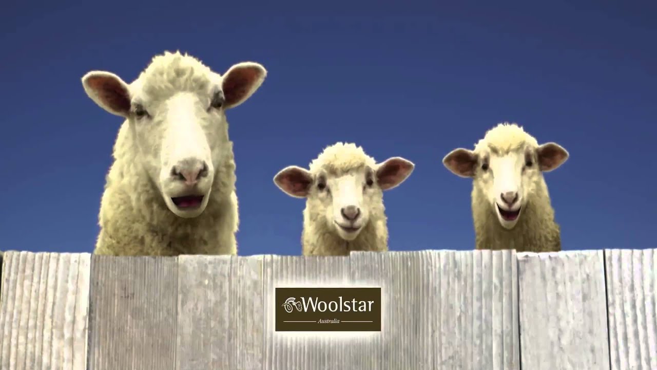 Woolstar TV Commercial