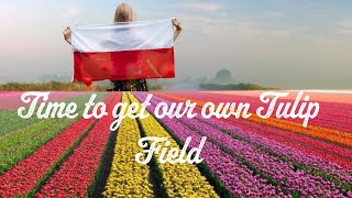 IF CHERRY BLOSSOM THEN WHY NOT TULIP FARM IN POLND? AN EXPAT APPEAL| #polska #krakow