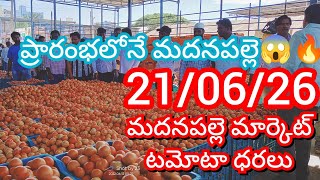 21-06-26 Madanapalle Tomato Market Price Today Today Tomato Market Rate In Madanapalle