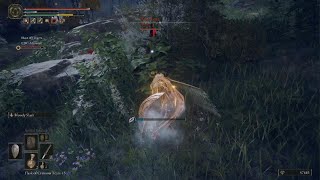 Elden Lag