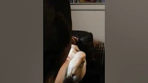 The kids say hi after work.