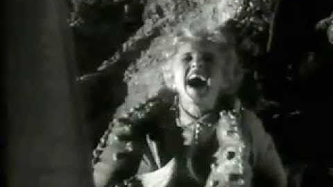 Fair Use & Documentary | Examples of Fair Use - Hofheinz v. AMC Productions, 2001