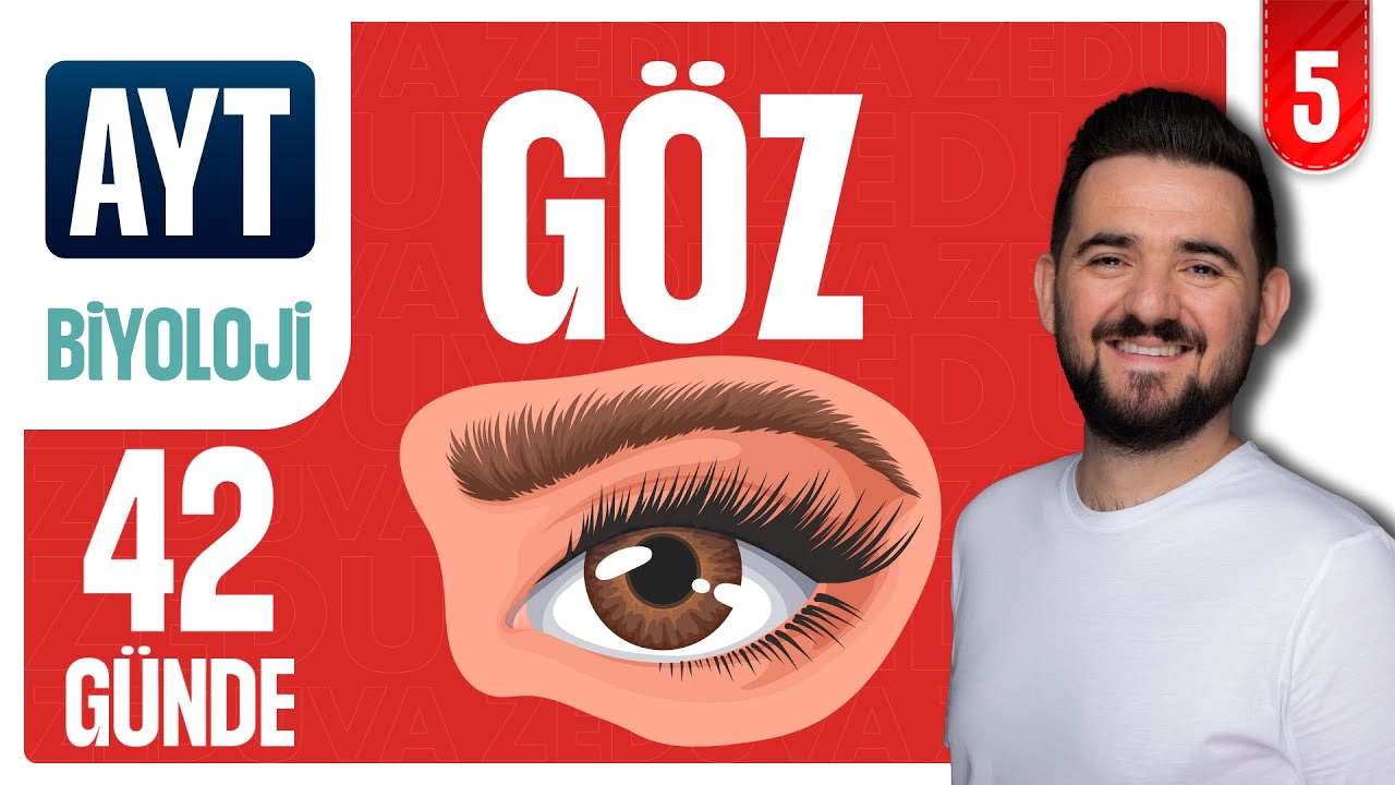 Göz Soru Çözümü | 42 GÜNDE AYRINTILI AYT BİYOLOJİ KAMPI 2026-2027 | 5.GÜN