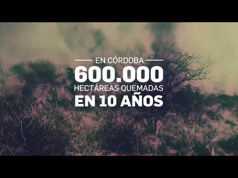 Campaña contra el Fuego - Campaña contra el Fuego