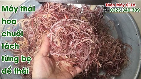 Máy cắt - thái - bào -xắt bi chuối, bắp chuối, hoa chuối mini. Tách từng bẹ rồi thái