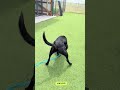Havoc (MY26-11) video