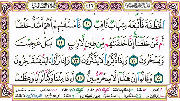 ألقران الكريم حاتم فريد الواعر الصفحة 446