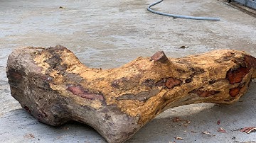 GL gốc cẩm chỉ krôngpa đặc tịt tinh lõi chun sụn 31kg đục tiện đều VÍP ạ giá lh033.891.8991 TGQ