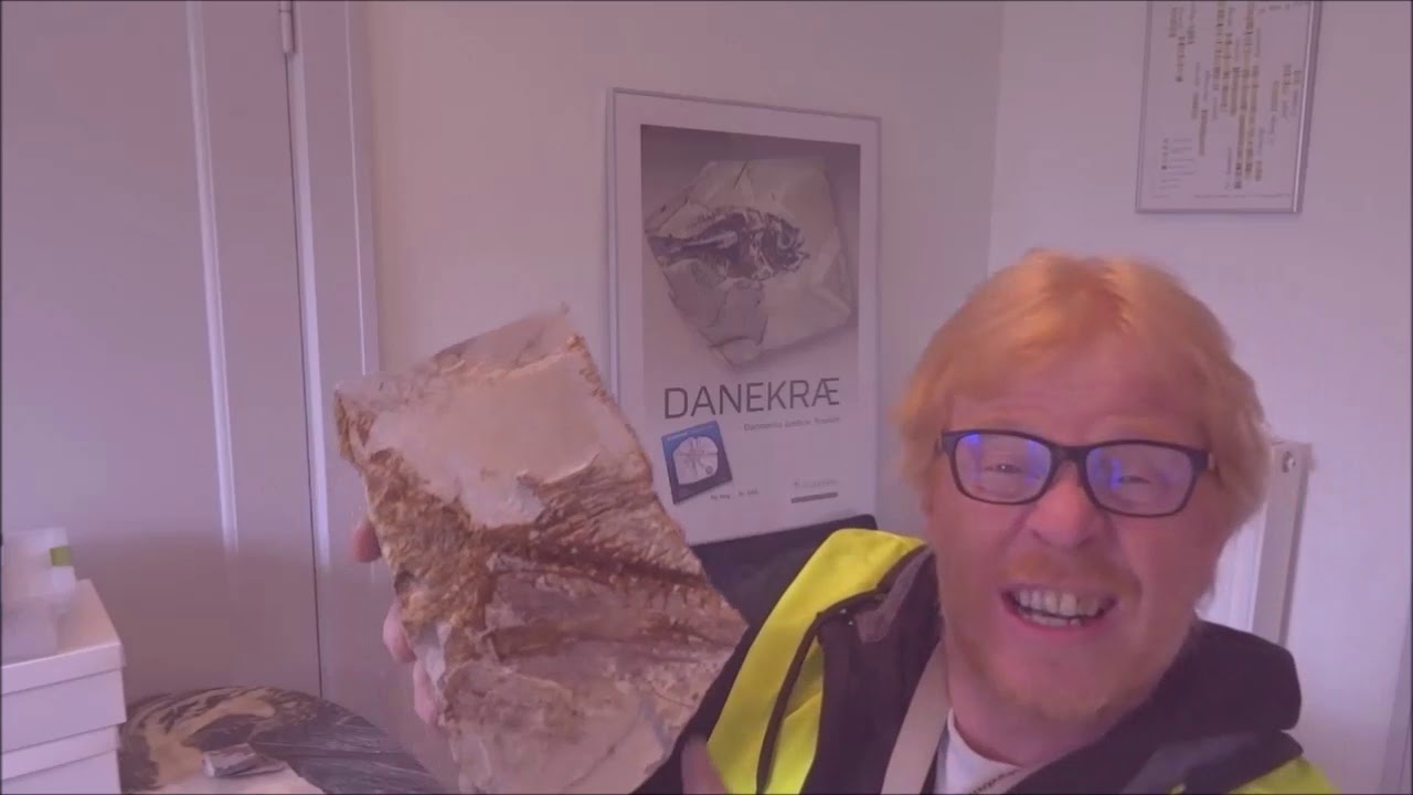 Fossiljagt i molergraven 2. del