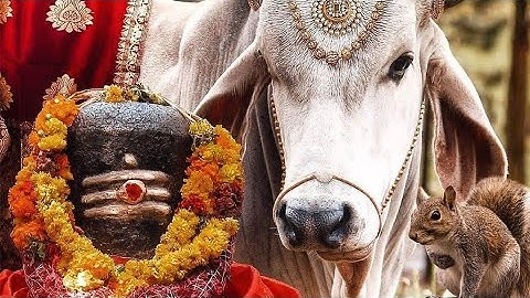 Mahadev Status | Bhole Baba Status | Bholenath 4k Status | Bhole 4k Status | Shiv Status Video 2021