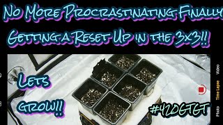 Germination & Planting Seeds with Success! Properly Dialed In this 3x3 Grow!! Focused & Determined!!