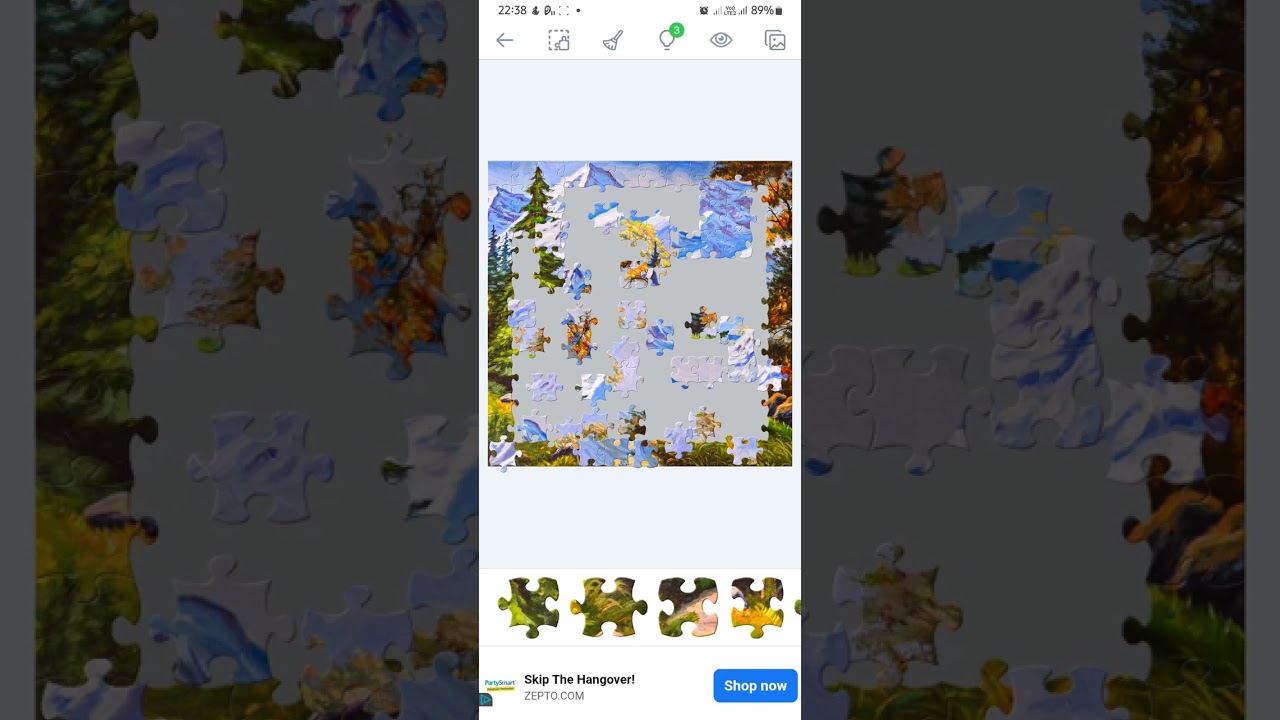 Can I Finish This Puzzle in One Go