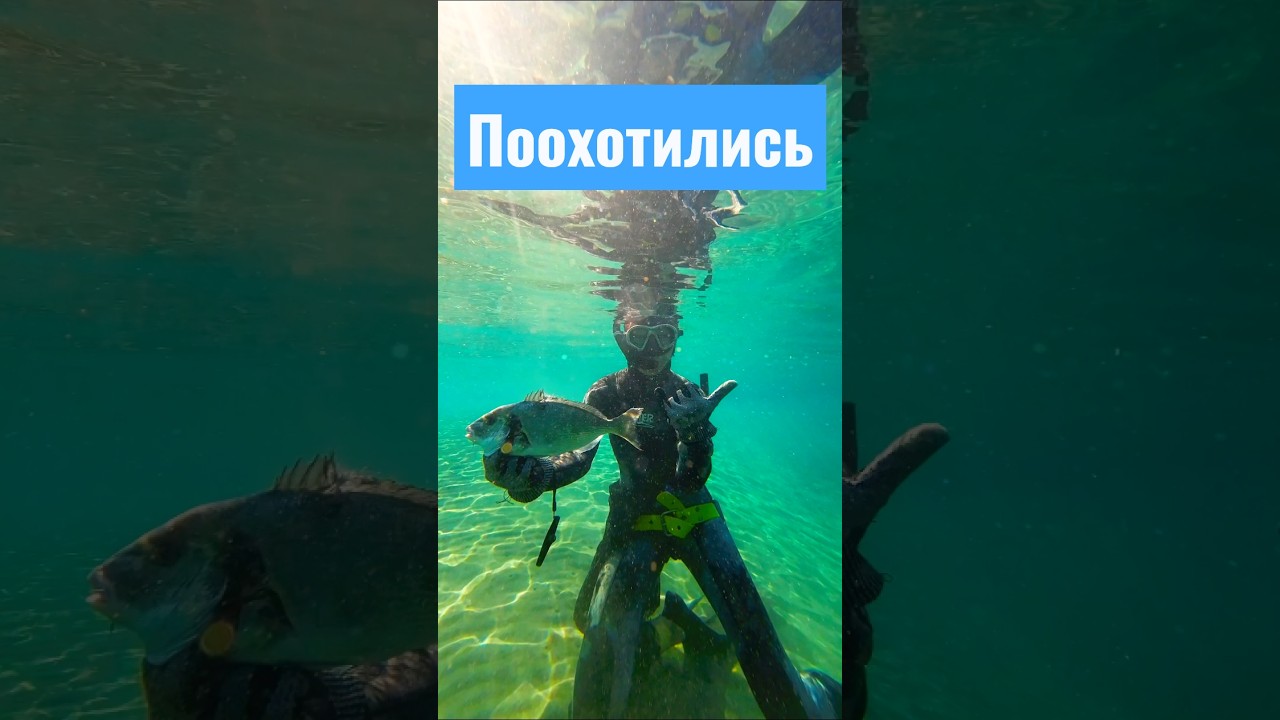 Ныряем осенью 🤿 #shorts