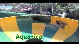 Aquatica waterpark all slides POV