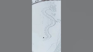 Vẽ rồng 100 mét trên tuyết