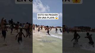 QUÉ LOCURA 😱 Esto ha pasado en la Isla de Sal en Cabo Verde, según me dicen pasa todos los años.