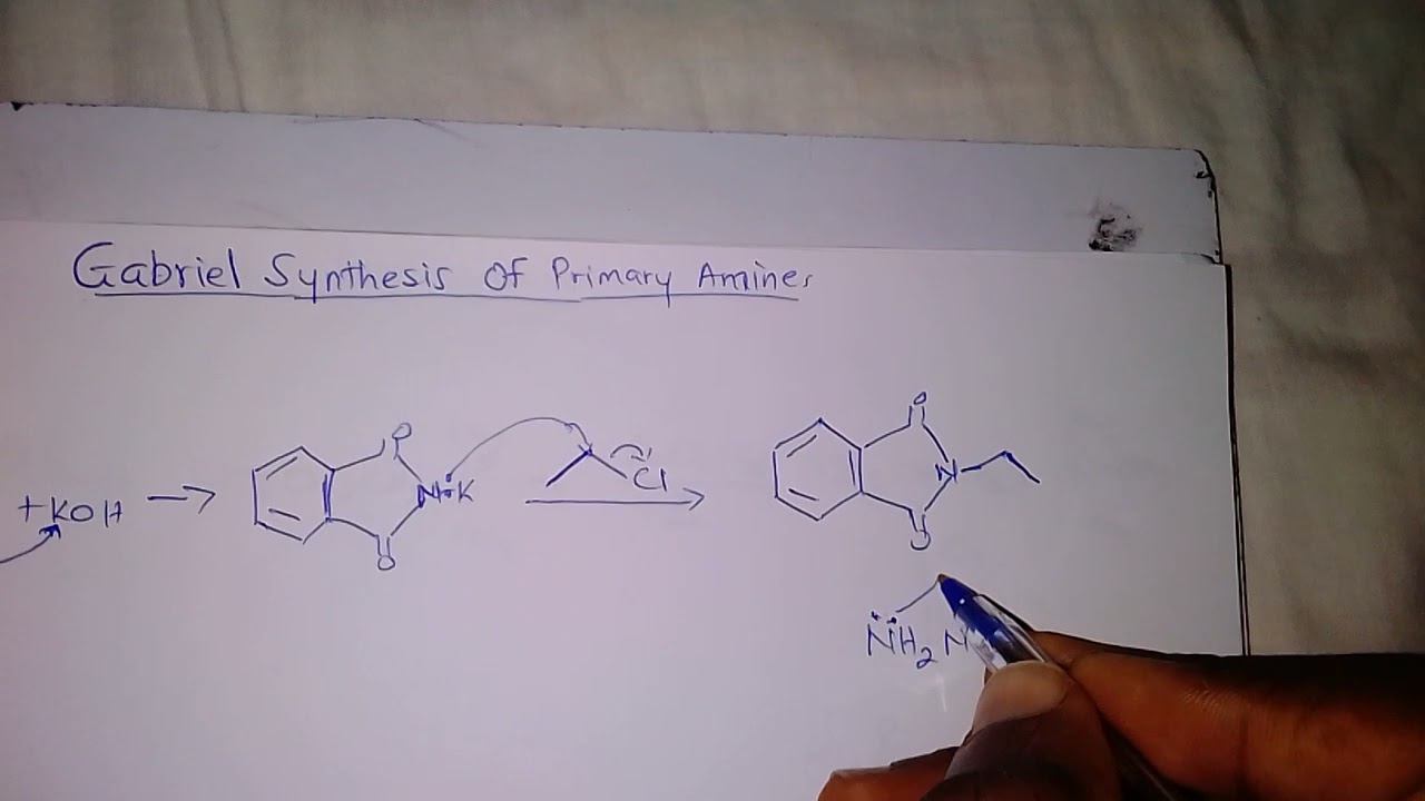 Gabriel synthesis mechanism for Primary Amines