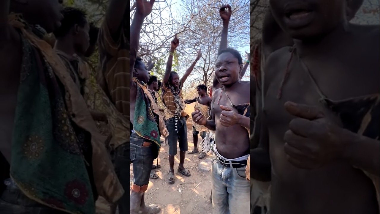 When a Honey Badger Enters in Adiwasi village 