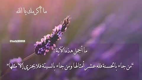 الآيات الأخيرة من سورة الأنعام - من جاء بالحسنة فله عشر أمثالها بصوت محمد الحبش