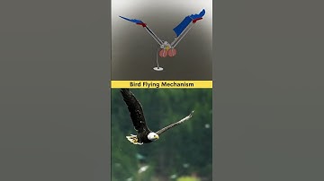 Watch carefully ⚠️ Flying Bird Mechanical Mechanism 3D CAD Design 🦅⚙️✅ #cad #solidworktutorial #3d