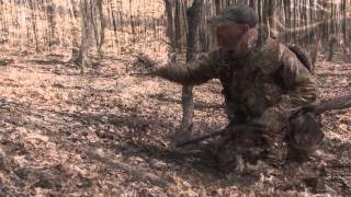 Datos How To Read Turkey Scratching Sign In The Woods Guía