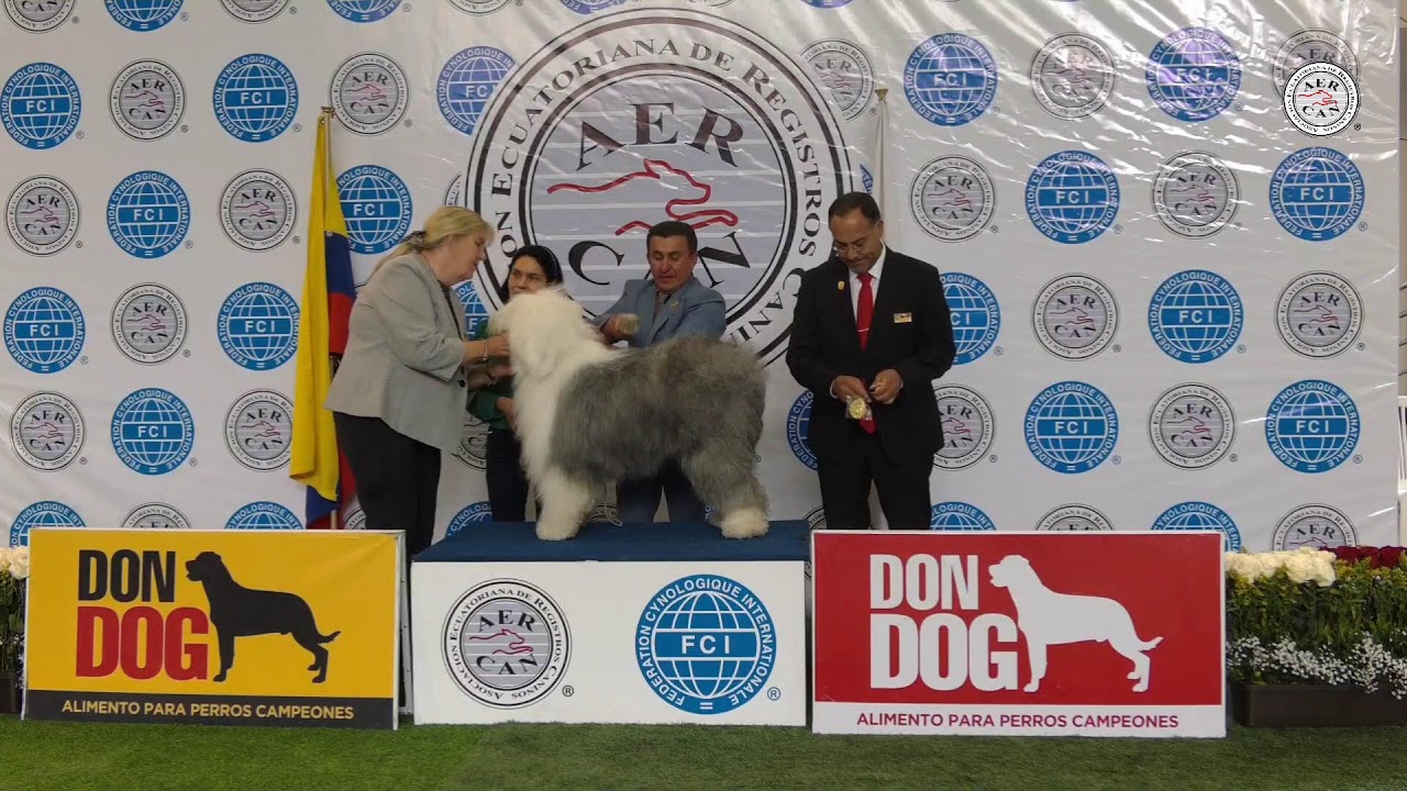 Exposición Canina AERCAN domingo 14 de septiembre