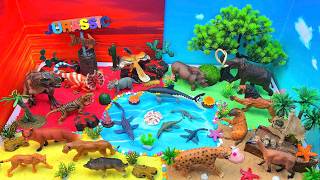 Diverse Toy World | Explore Jurassic, Green Forest &amp; Amazing Ocean 🦖🌳🌊
