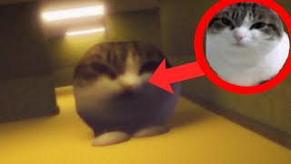 Misery Wawa Cat in The Backrooms? (Found Footage)