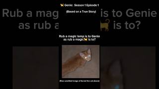 Cat Genie, 9 Wishes: "Cat Barrier Tutorial".  Season 1 Episode 1. Cute, Informative, and Magical.