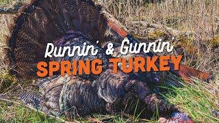 Runnin' and Gunnin' Public Land Turkey Hunting! Spring 2023 by Uplander 2,182 views 1 year ago 11 minutes, 33 seconds