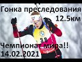 Биатлон. Гонка преследования. Мужчины. 14.02.2021