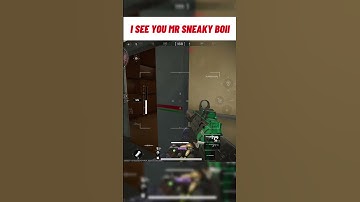 I am more sneaky good sir😙 #deltaforce #deltaforcecreator #deltaforcegame