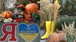 видео: Надвірна в деталях. Осінь 2025 картинка: Надвірна в деталях. Осінь 2025