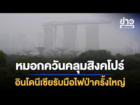Haze Blankets Singapore, Indonesia Tackles Massive Forest Fires | Workpoint News Daily | Sep 17, ...
