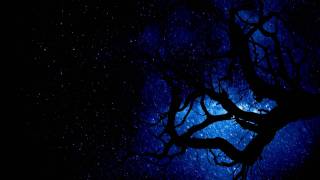 Hubble 3D (2010) - Theatrical Trailer (HD)