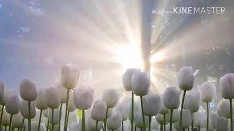 ما تيسر من سورة طه -برواية خلف عن حمزة- أبو إلياس المهاجر